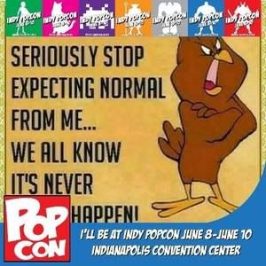 Meet your Posher, Lacy